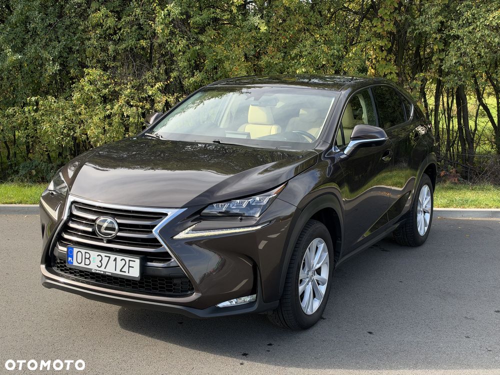 Lexus NX - 27