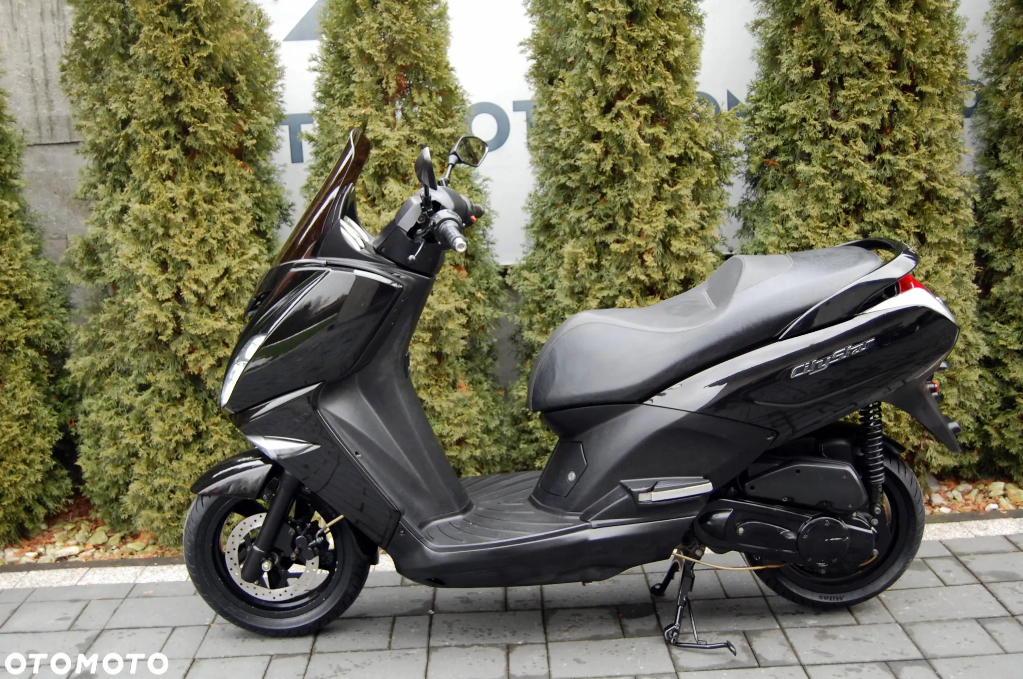 Peugeot Citystar - 5