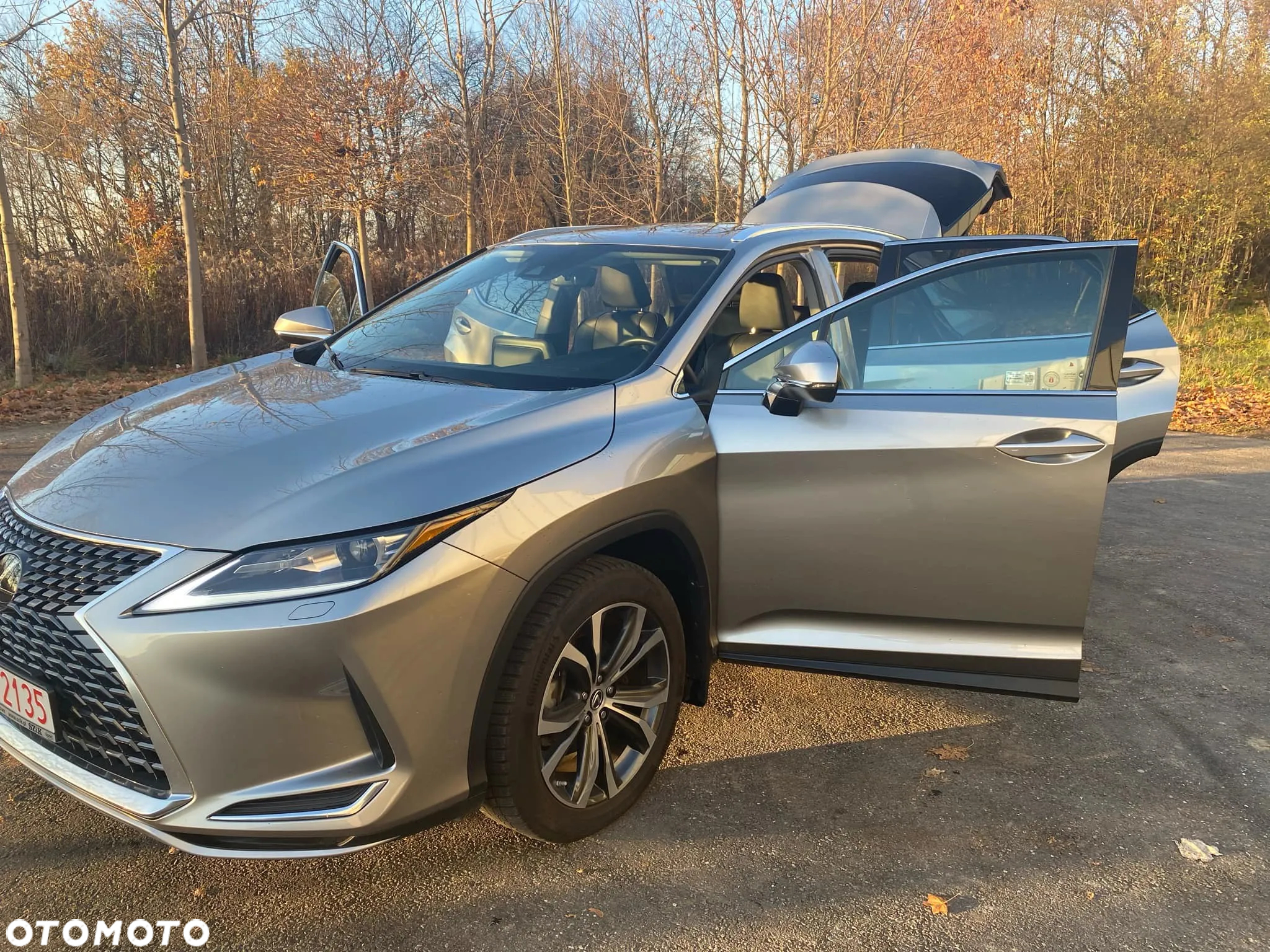 Lexus RX - 10