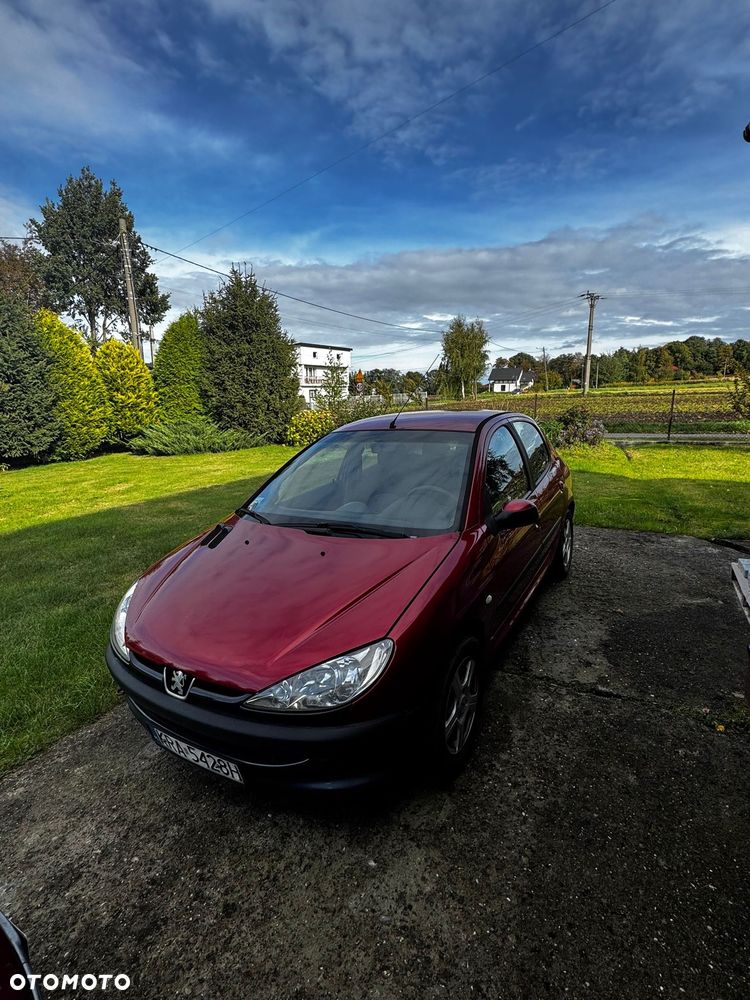 Peugeot 206 - 5