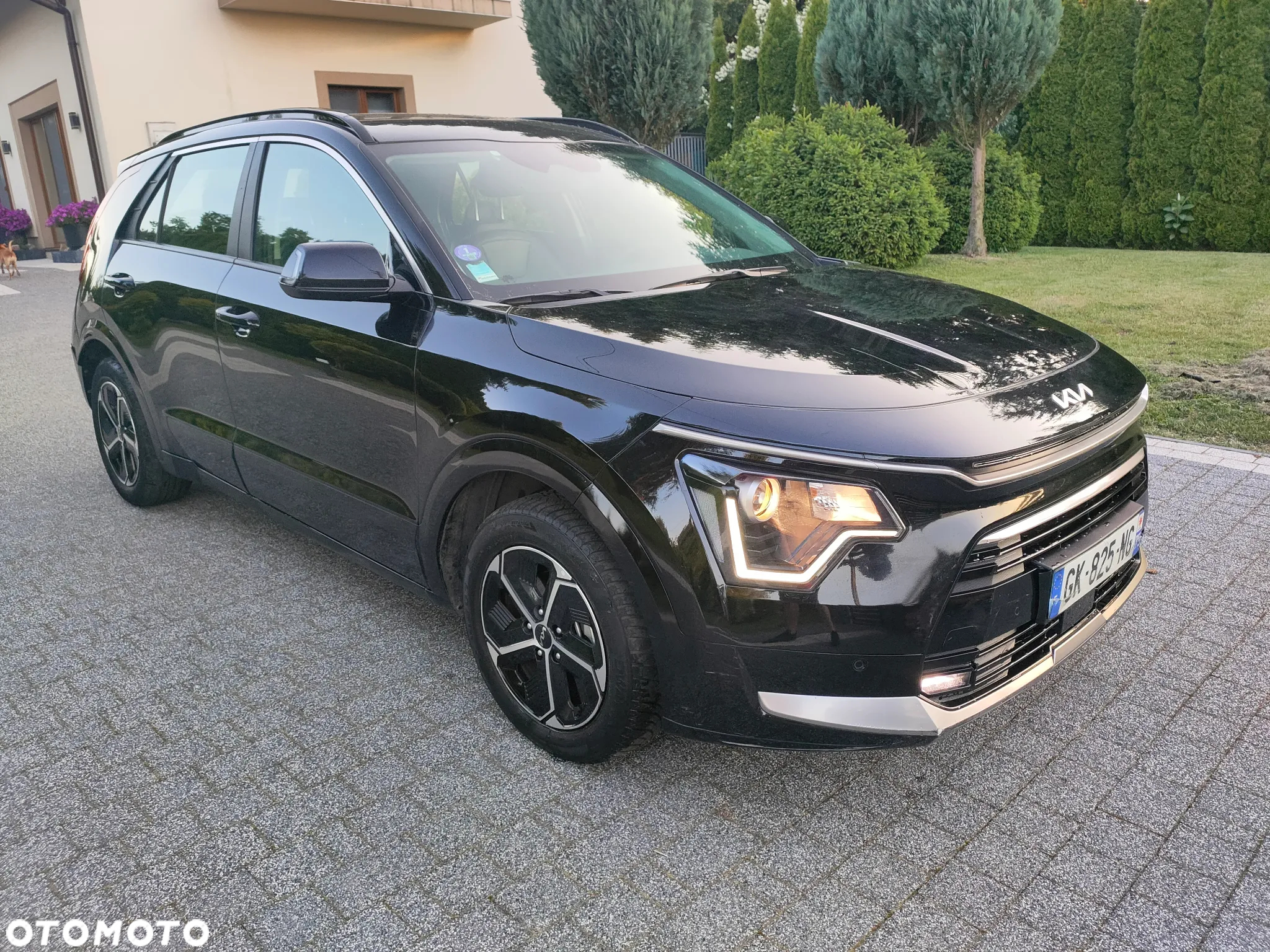 Kia Niro - 3