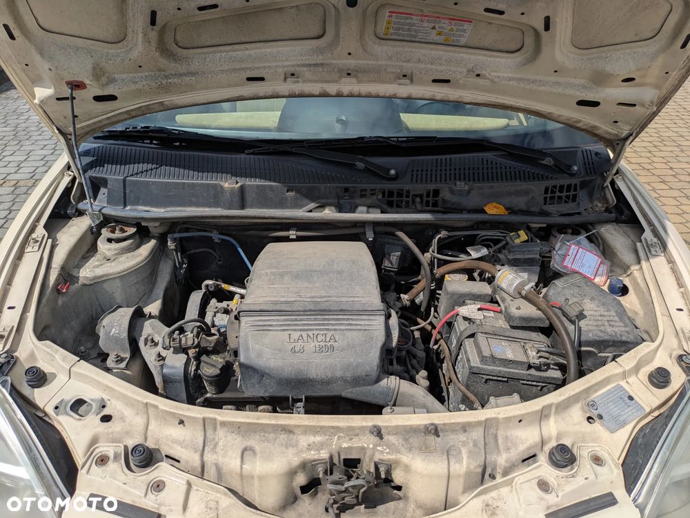 Lancia Ypsilon Y 1.2 8v - 13