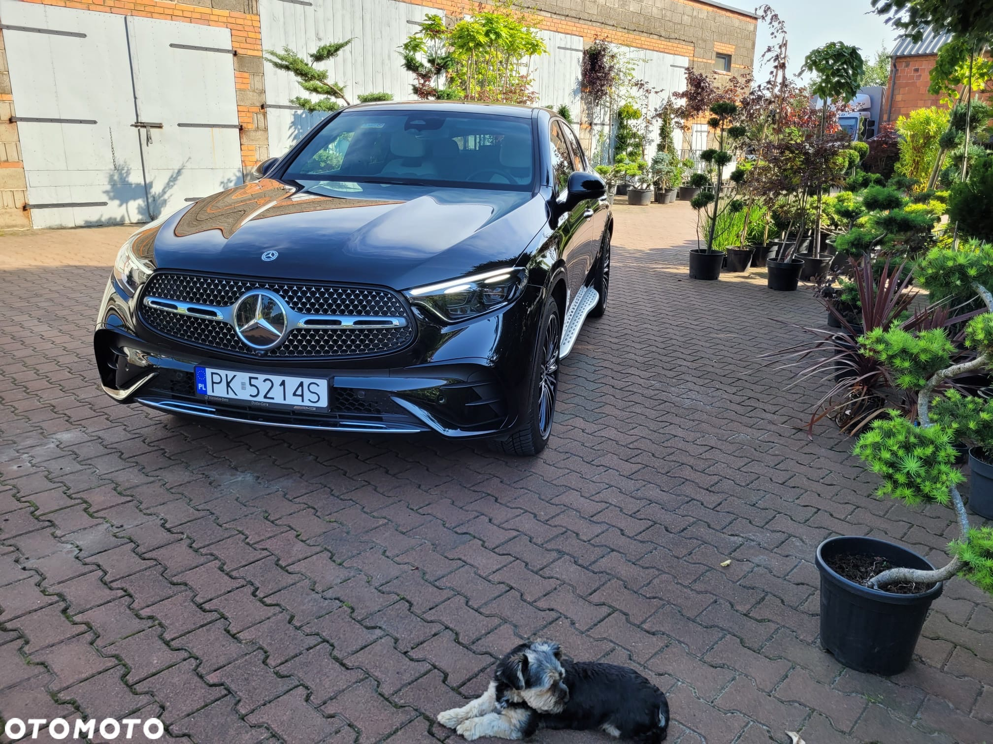 Mercedes-Benz GLC Coupe 220 d 4-Matic - 5