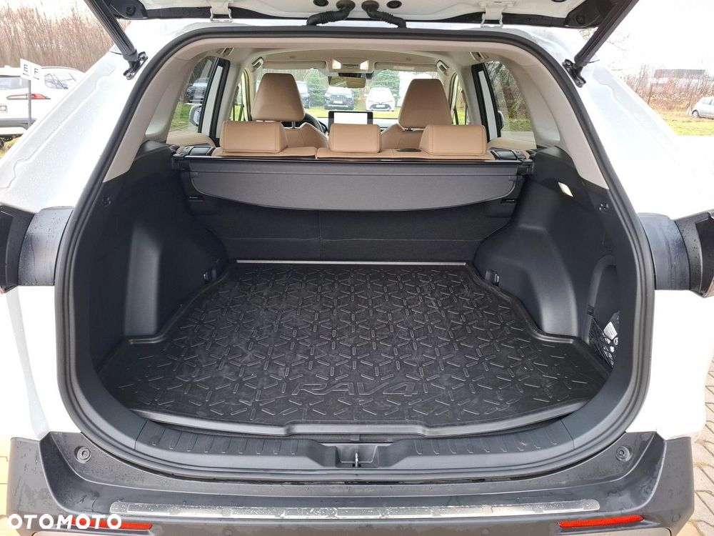 Toyota RAV4 2.5 Hybrid Executive 4x4 - 23