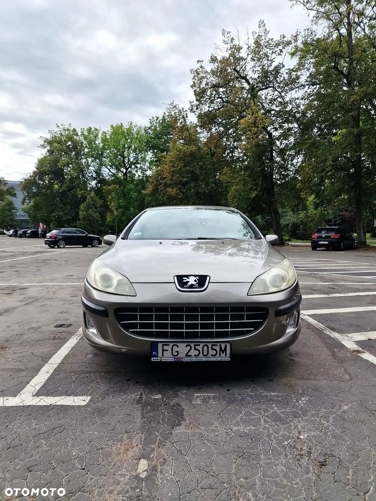 Peugeot 407 - 6