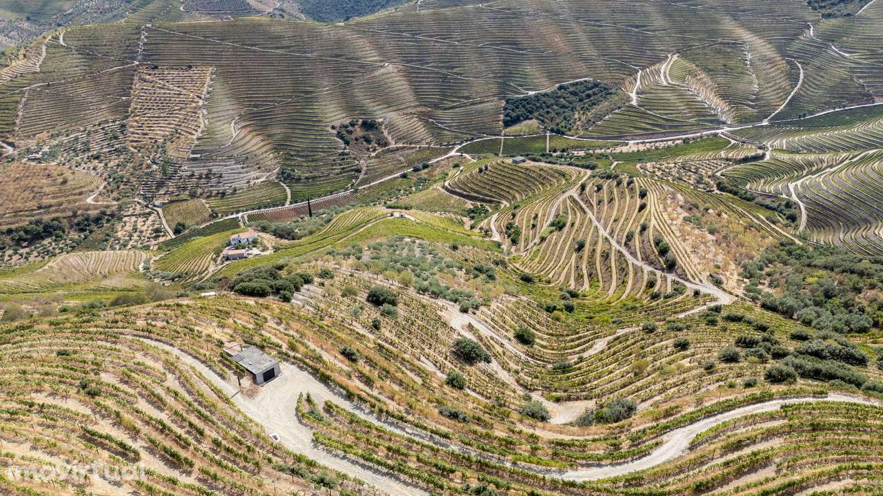 Farm with productive vineyard in the Douro Demarcated Region — São Joã - Grande imagem: 3/28