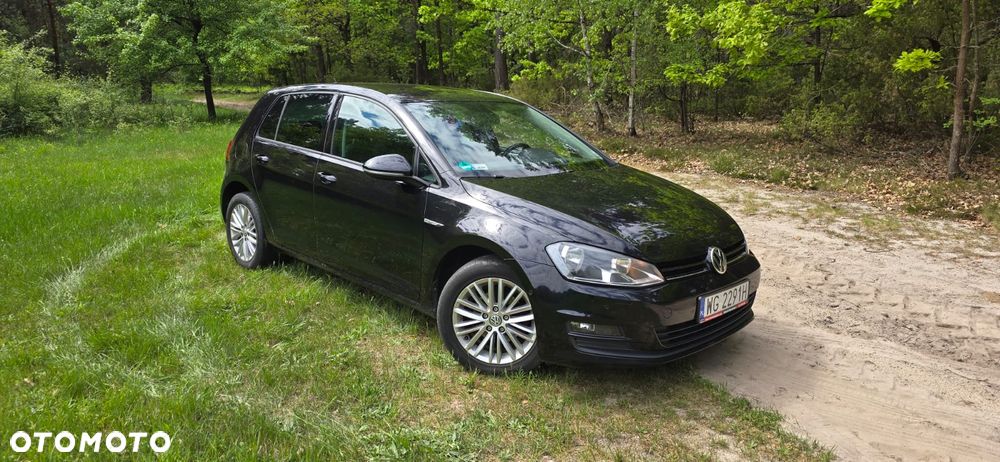 Volkswagen Golf 1.6 TDI BlueMotion Technology Cup - 4