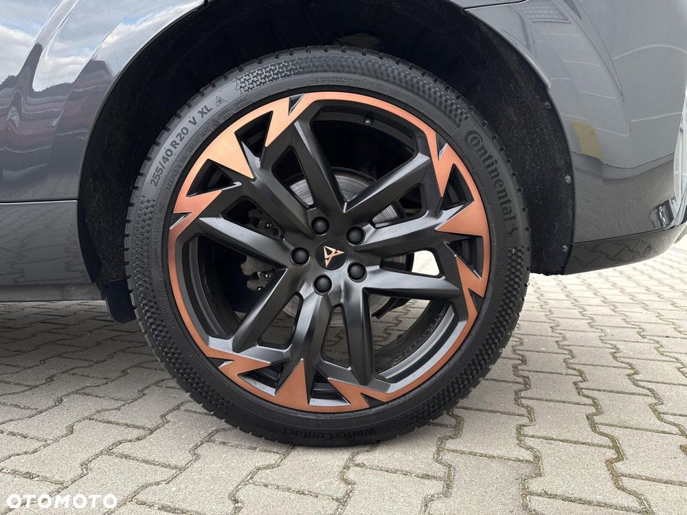Cupra Terramar - 38