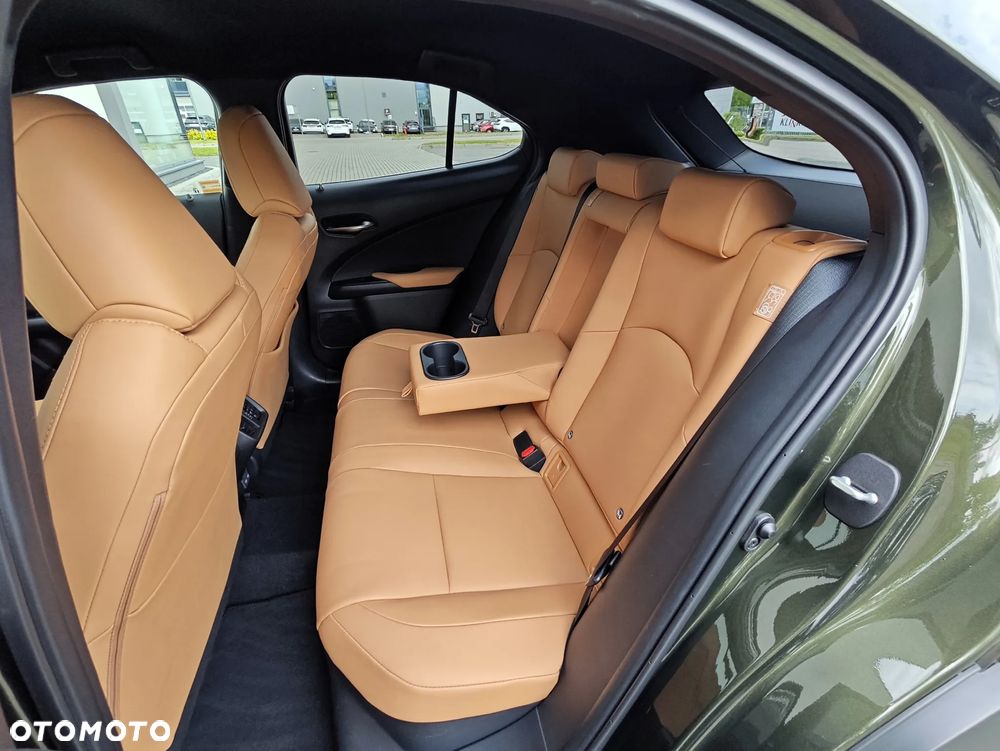 Lexus UX 250h GPF F Sport Design+ 2WD - 12