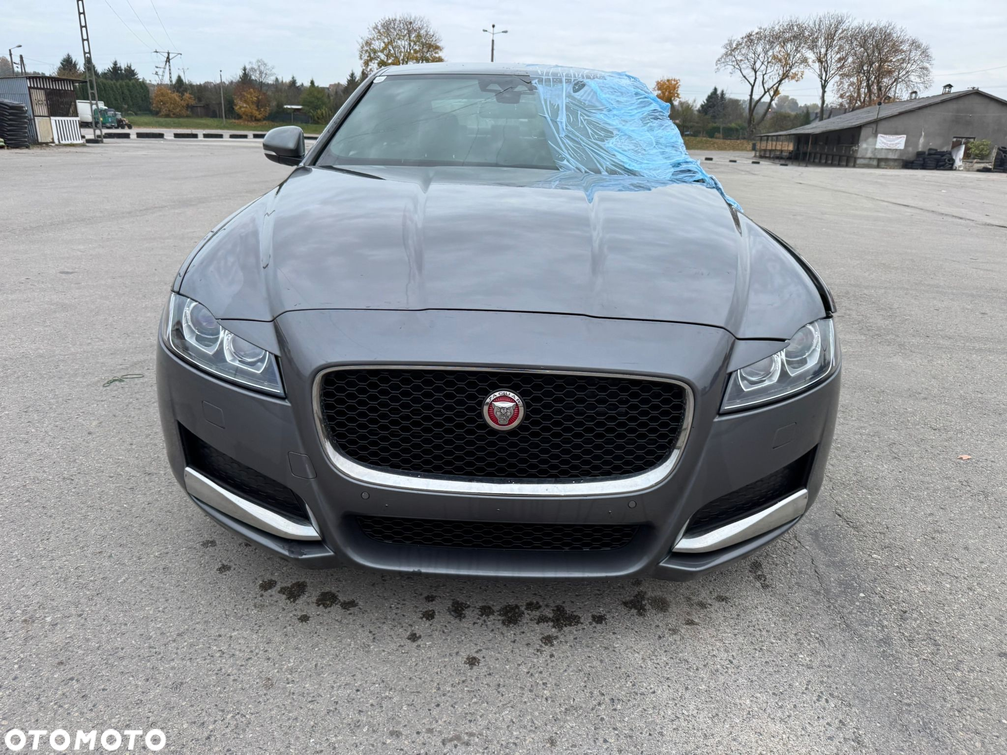 Jaguar XF E-Performance Prestige - 3