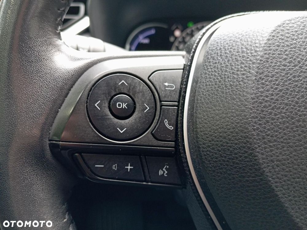 Toyota RAV4 2.5 Hybrid Selection 4x4 - 15