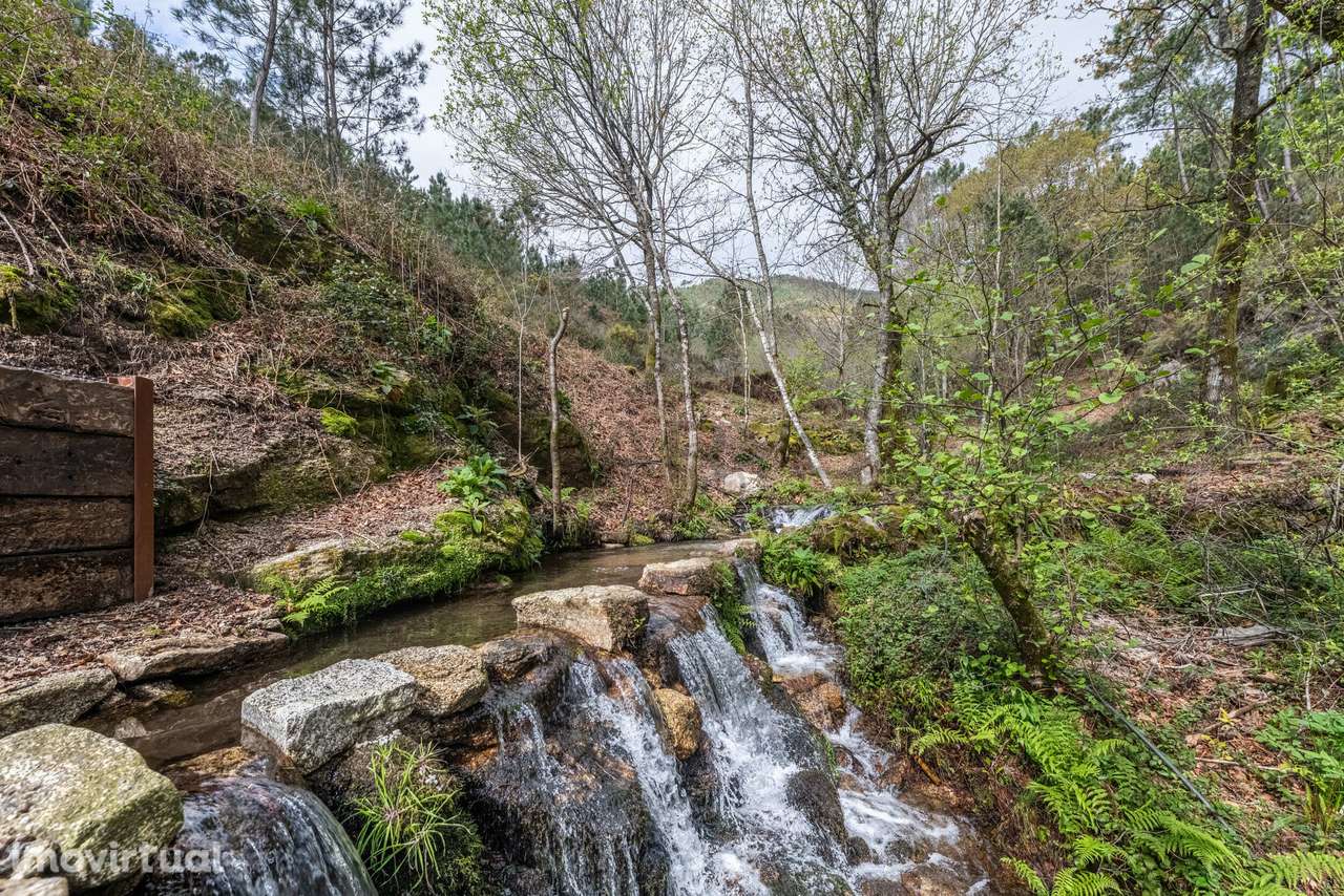 Moradias para Venda - Gerês - Grande imagem: 2/49