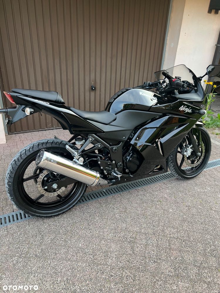 Kawasaki Ninja 250R - 3