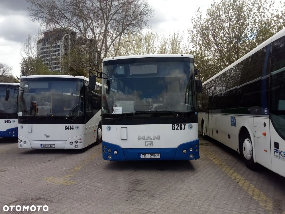 Temsa Tourmalin Light 13 - 3