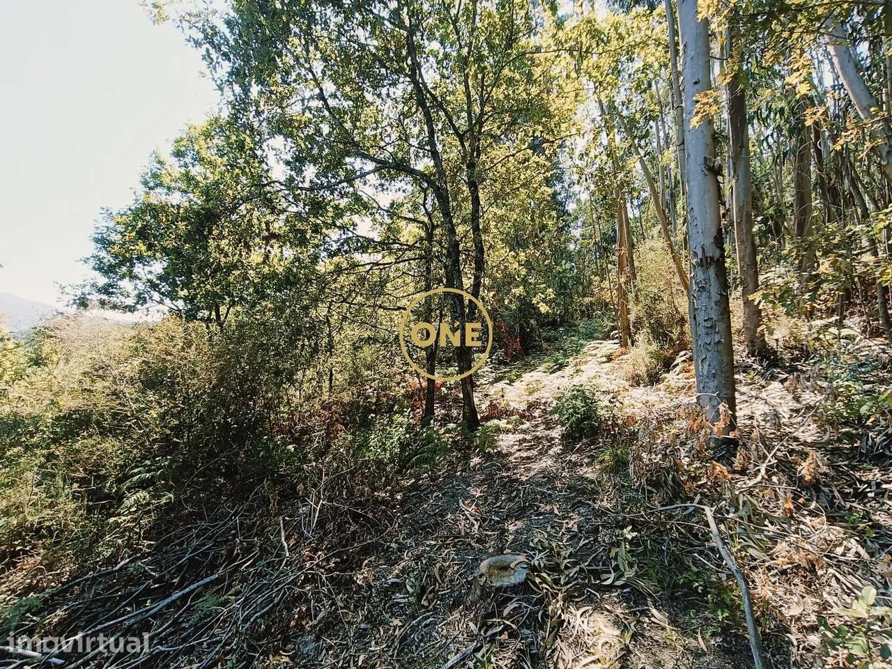 Terreno Para Venda em Passô - Grande imagem: 4/31