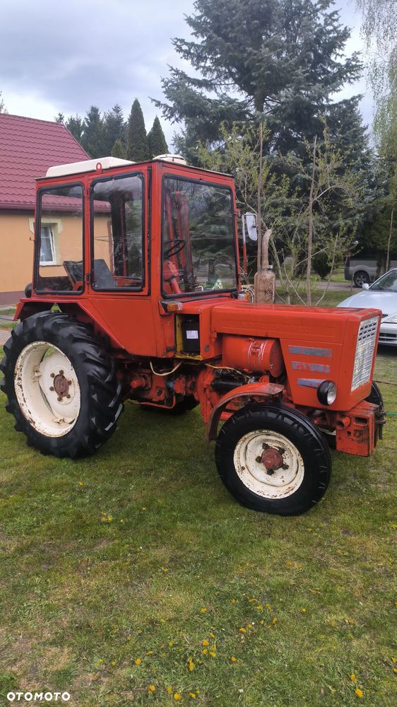 Inny Wladimirec T25A2 - 1