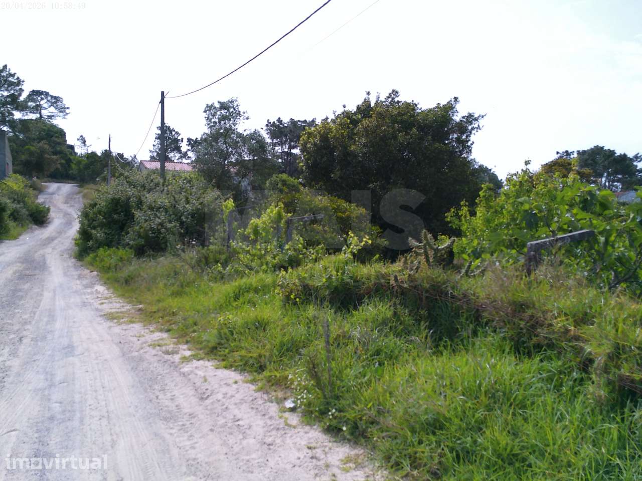 Terreno Rústico (Avos), Quinta da Oliva - Charneca da Caparica - Grande imagem: 5/5
