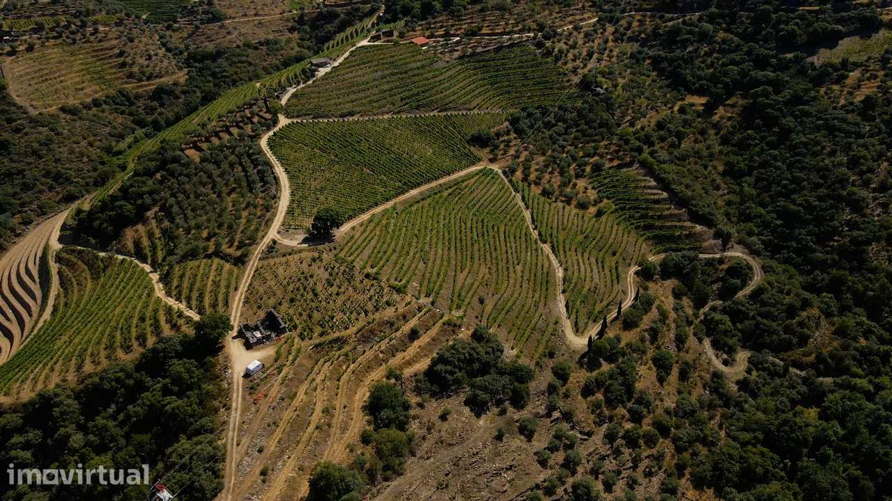 Quinta de Batéu – Douro Vinhateiro - Grande imagem: 4/21
