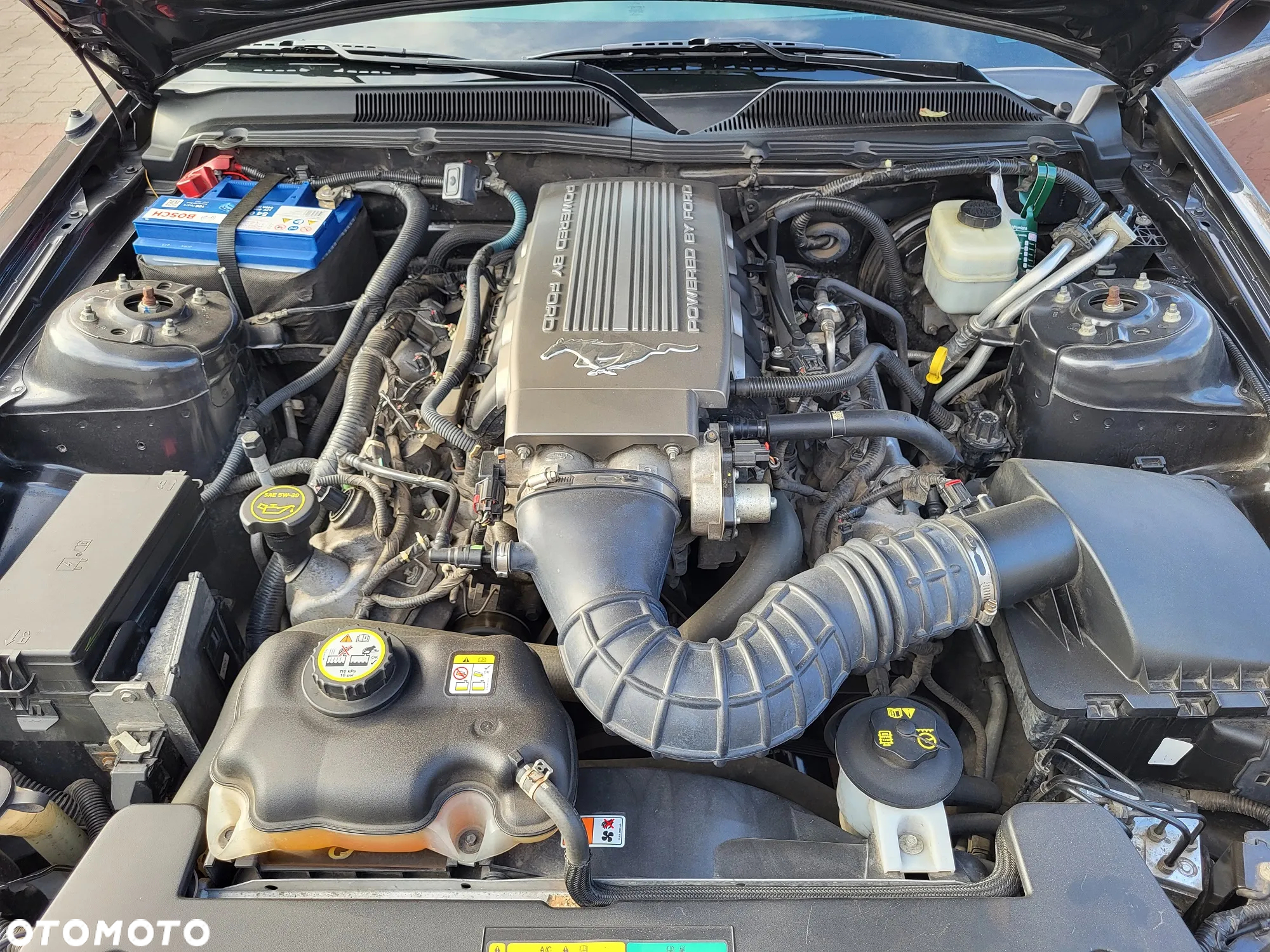 Ford Mustang - 14