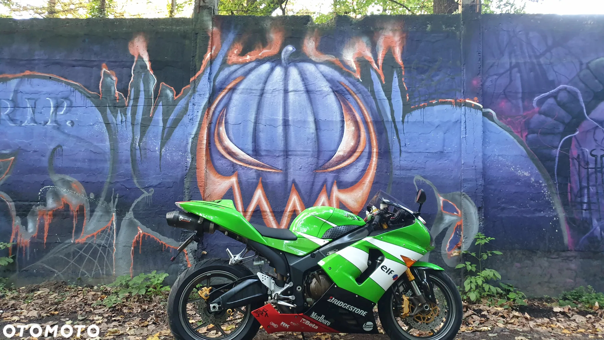 Kawasaki ZX - 6