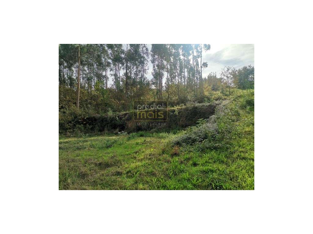 Terreno - Castelões - Grande imagem: 3/6