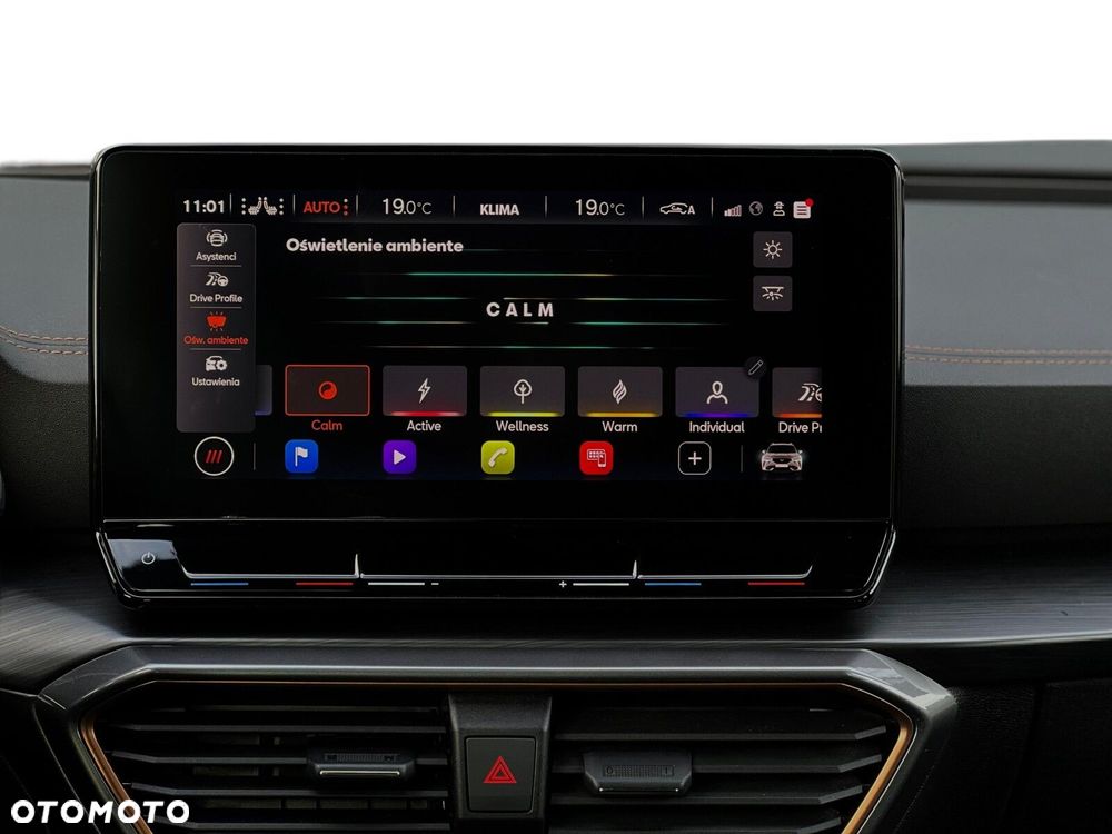 Cupra Formentor 2.0 TSI 4Drive DSG - 28