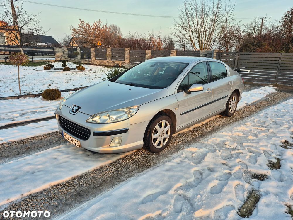 Peugeot 407 - 18