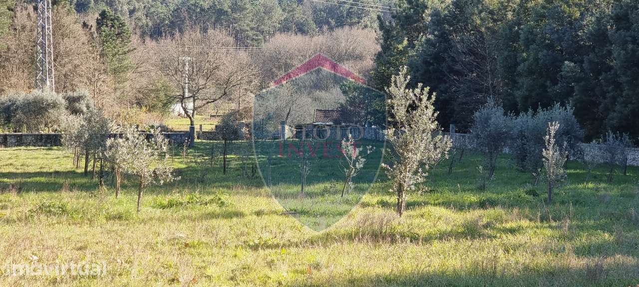 Quinta  Venda em Rio de Loba,Viseu - Grande imagem: 2/10
