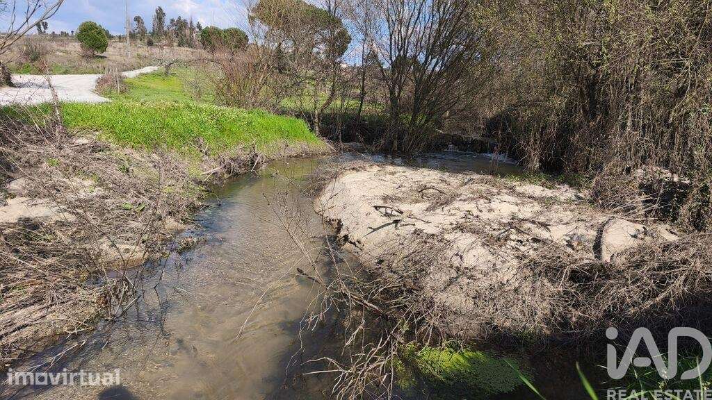 Terreno Agrícola em Seixo da Beira - Grande imagem: 4/22