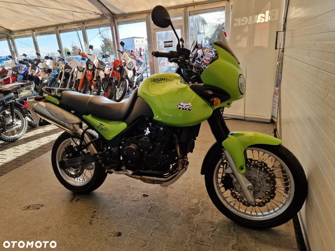 Triumph Tiger - 31