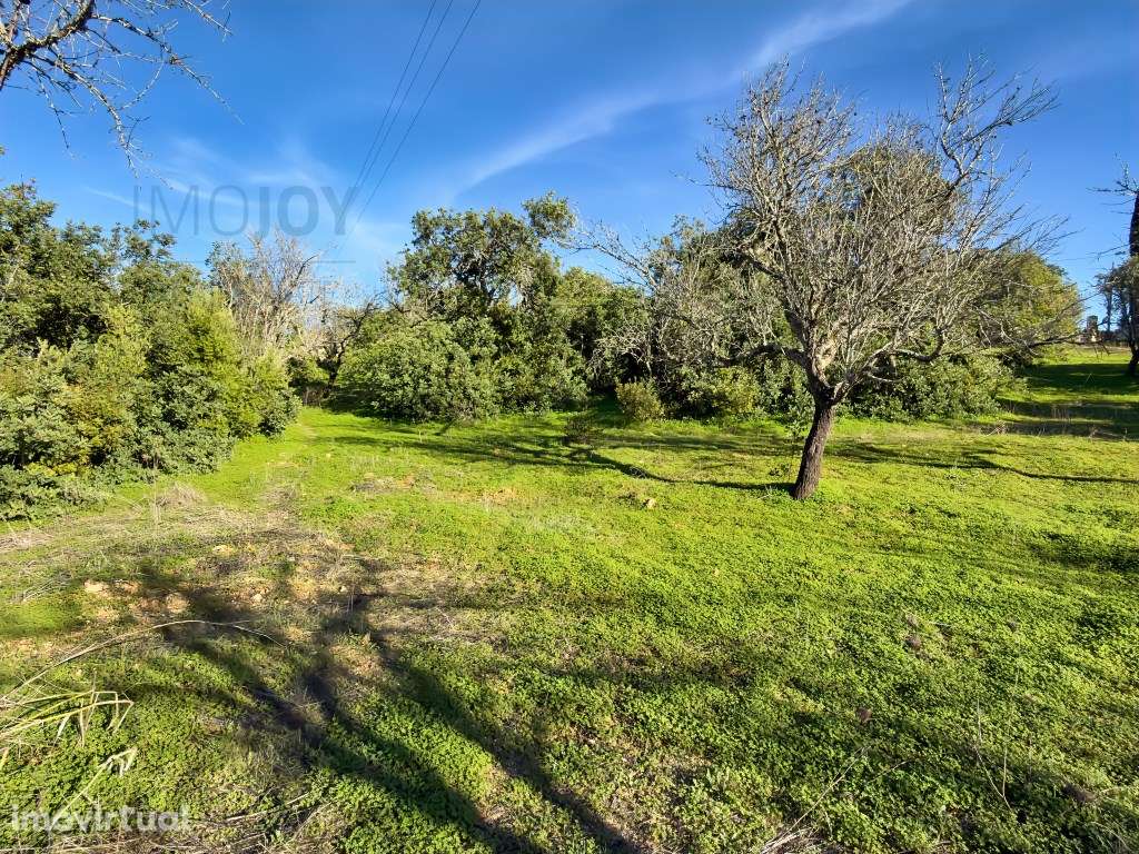 Terreno rústico com viabilidade de construção em Paderne - Grande imagem: 3/18