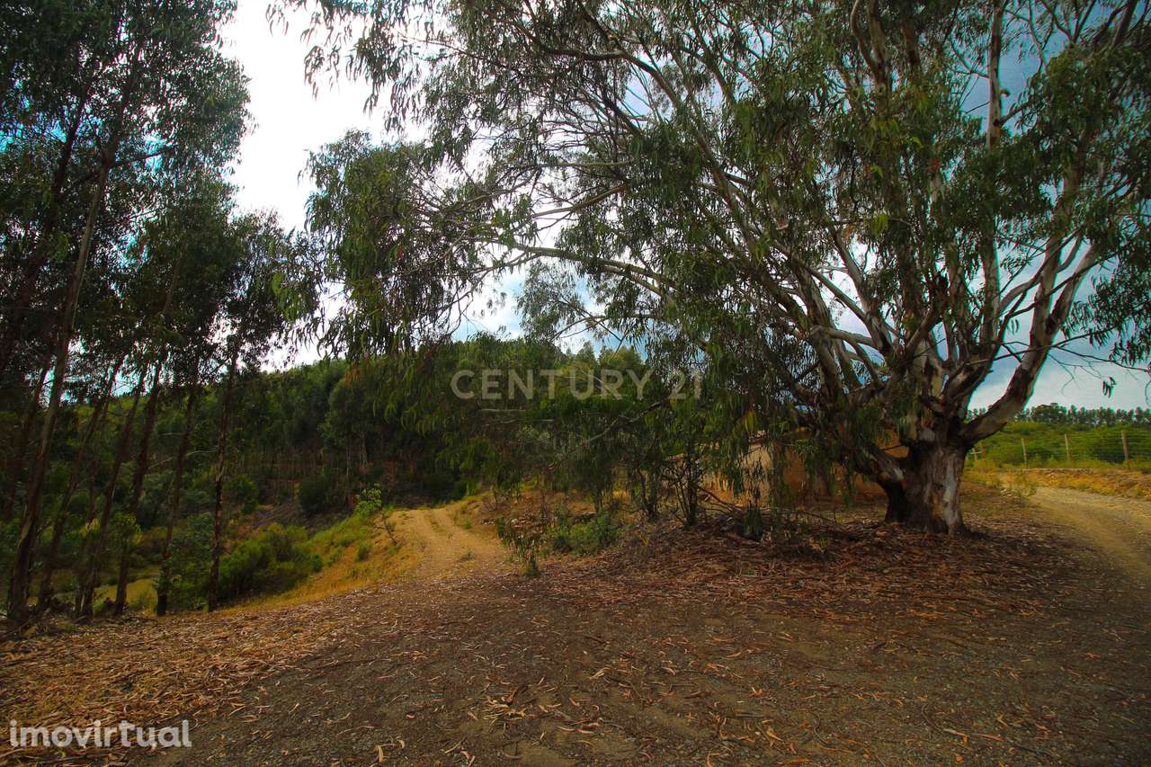 Ruína  T4 de 140 m2, inserida num terreno urbano amplo de 6732 m2, loc - Grande imagem: 5/16