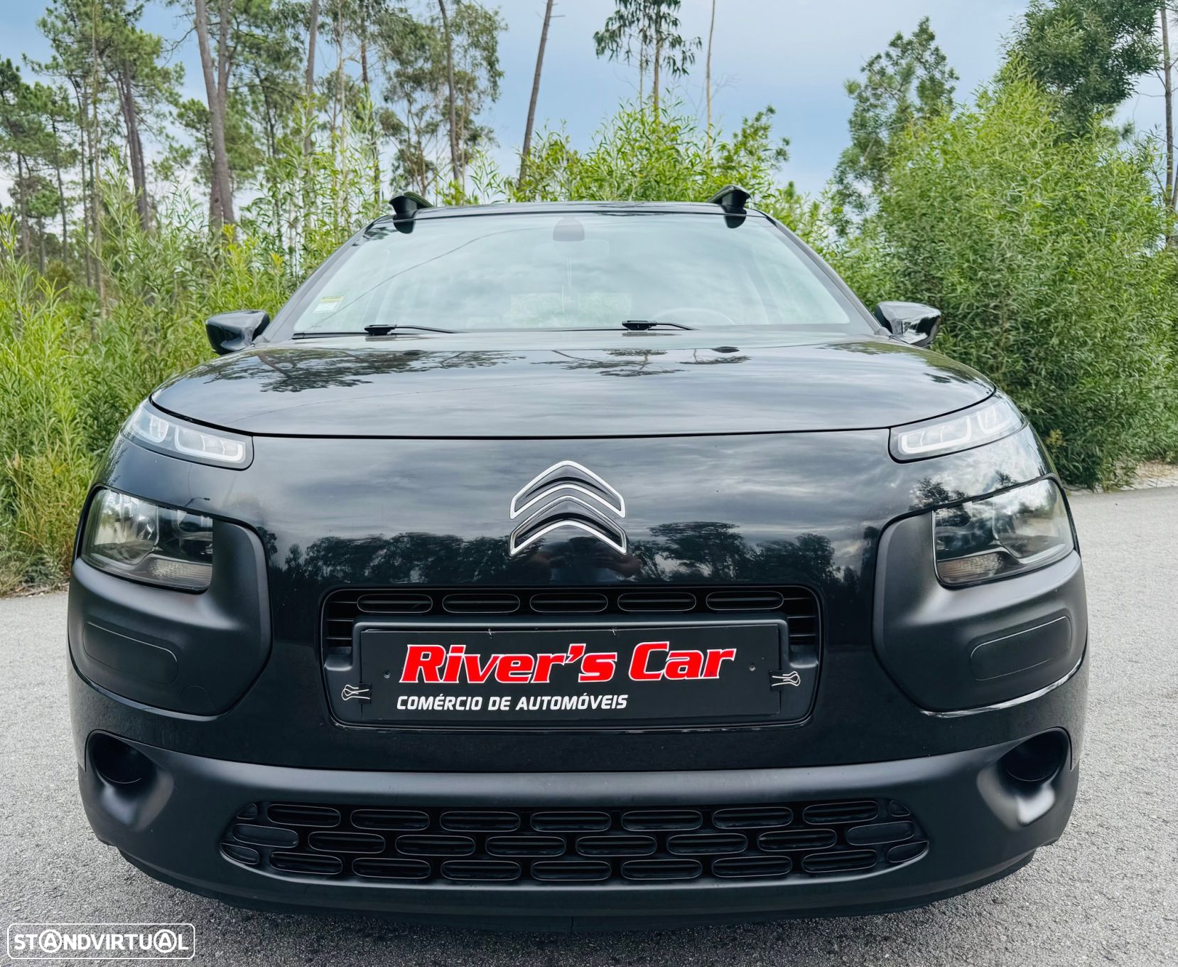 Citroën C4 Cactus 1.6 BlueHDi Shine - 5