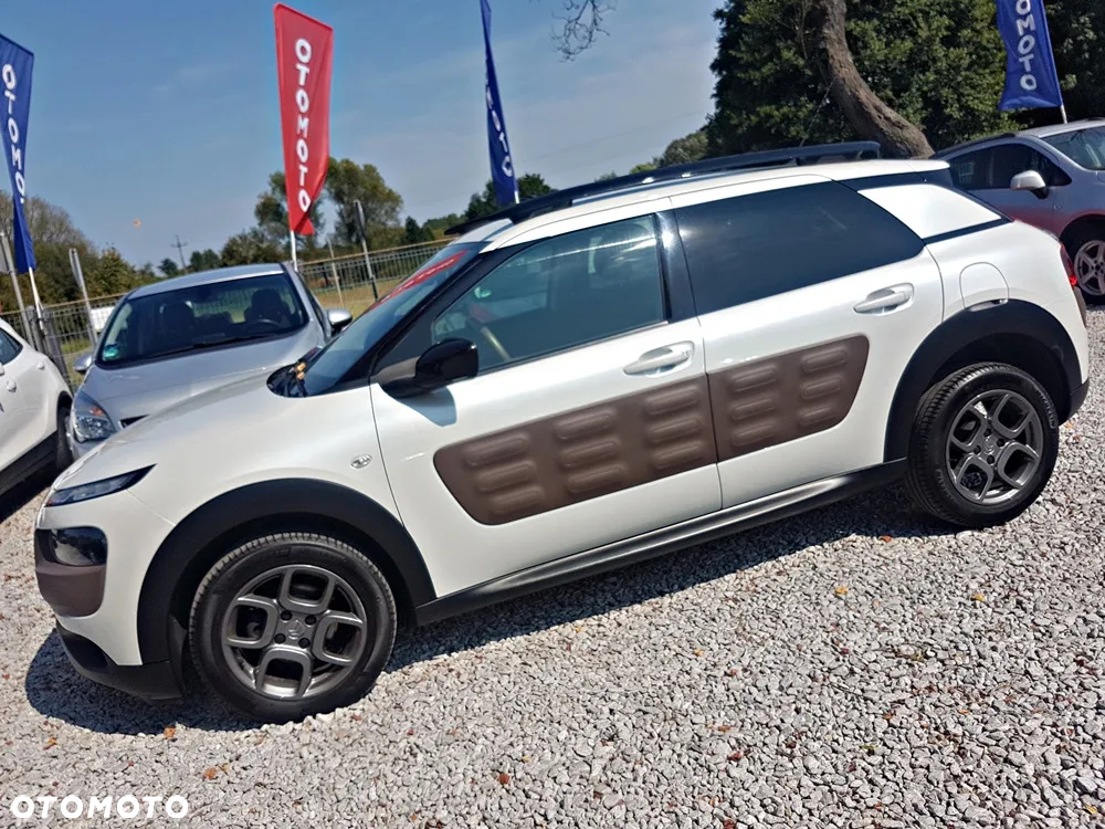 Citroën C4 Cactus 1.2 PureTech Shine Edition S&S - 29
