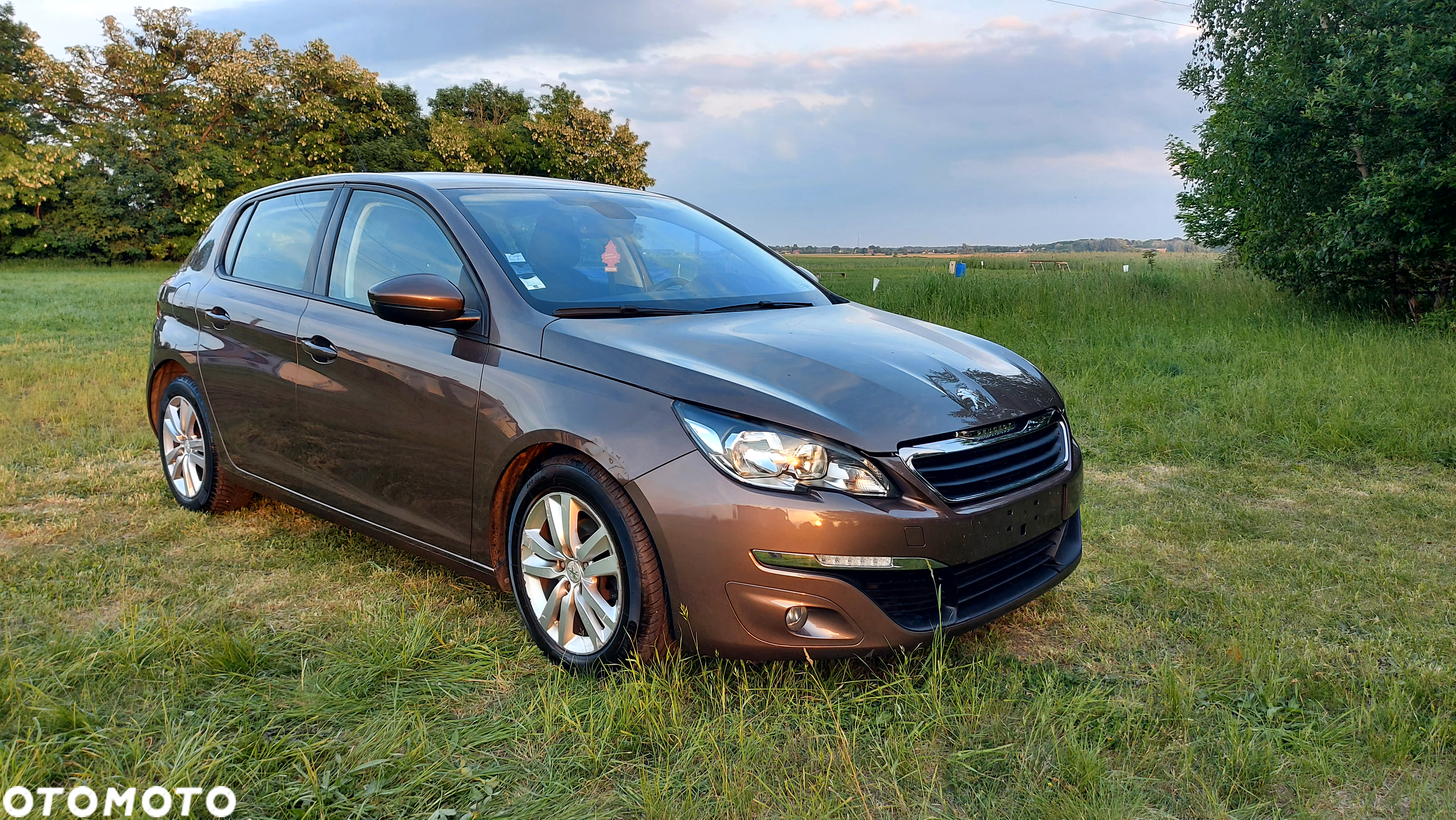 Peugeot 308 - 2