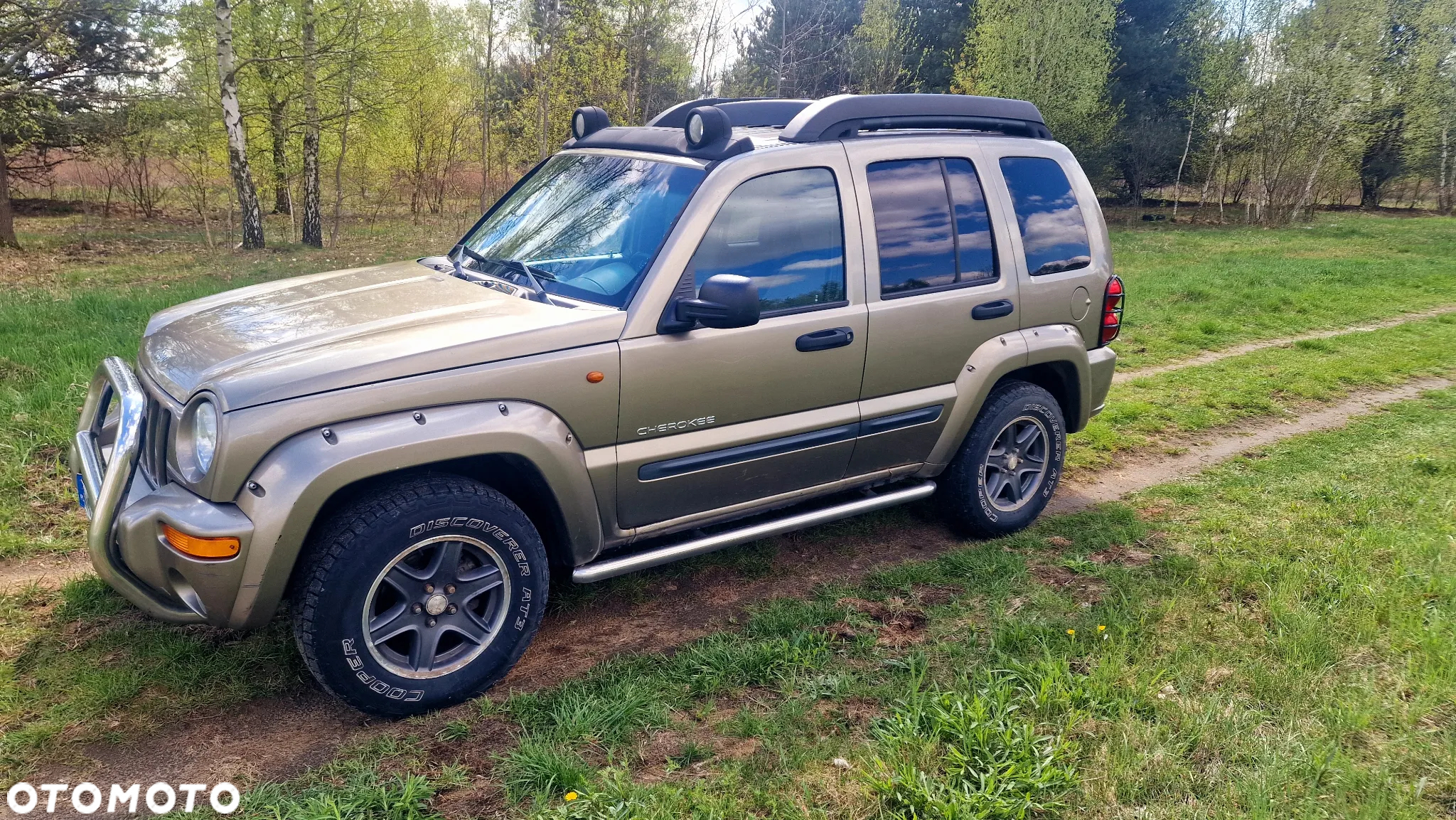 Jeep Cherokee 2.8L CRD Renegade - 4