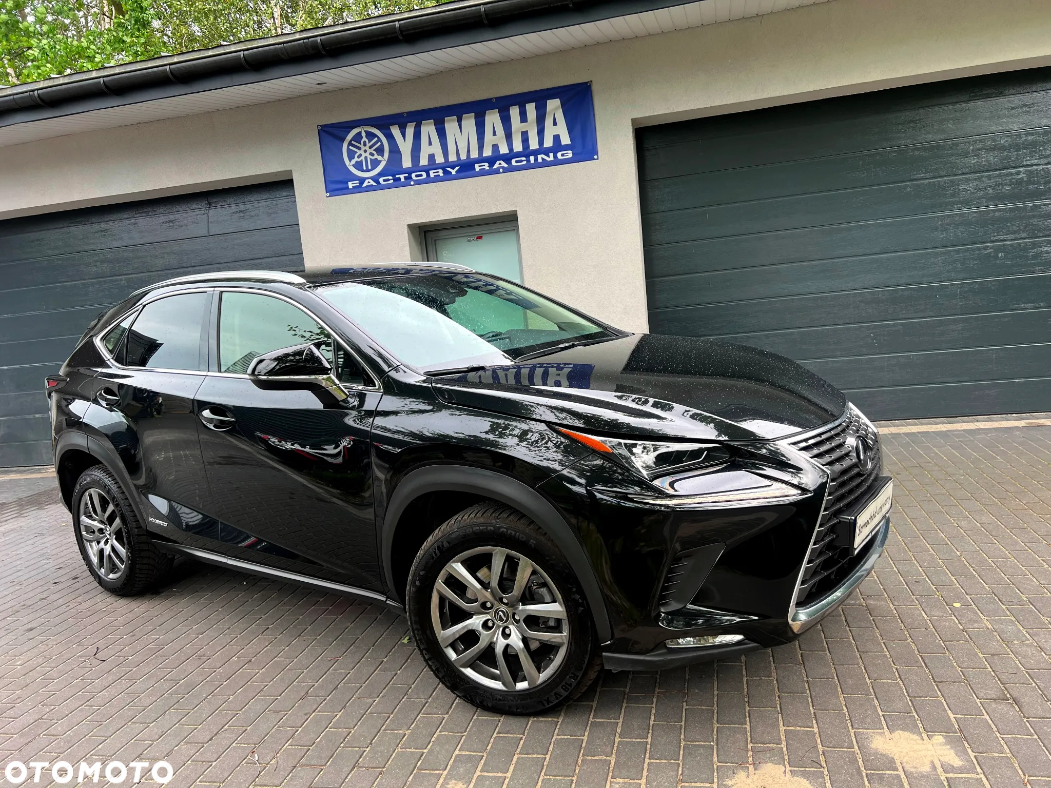 Lexus NX 300h Prestige AWD - 13