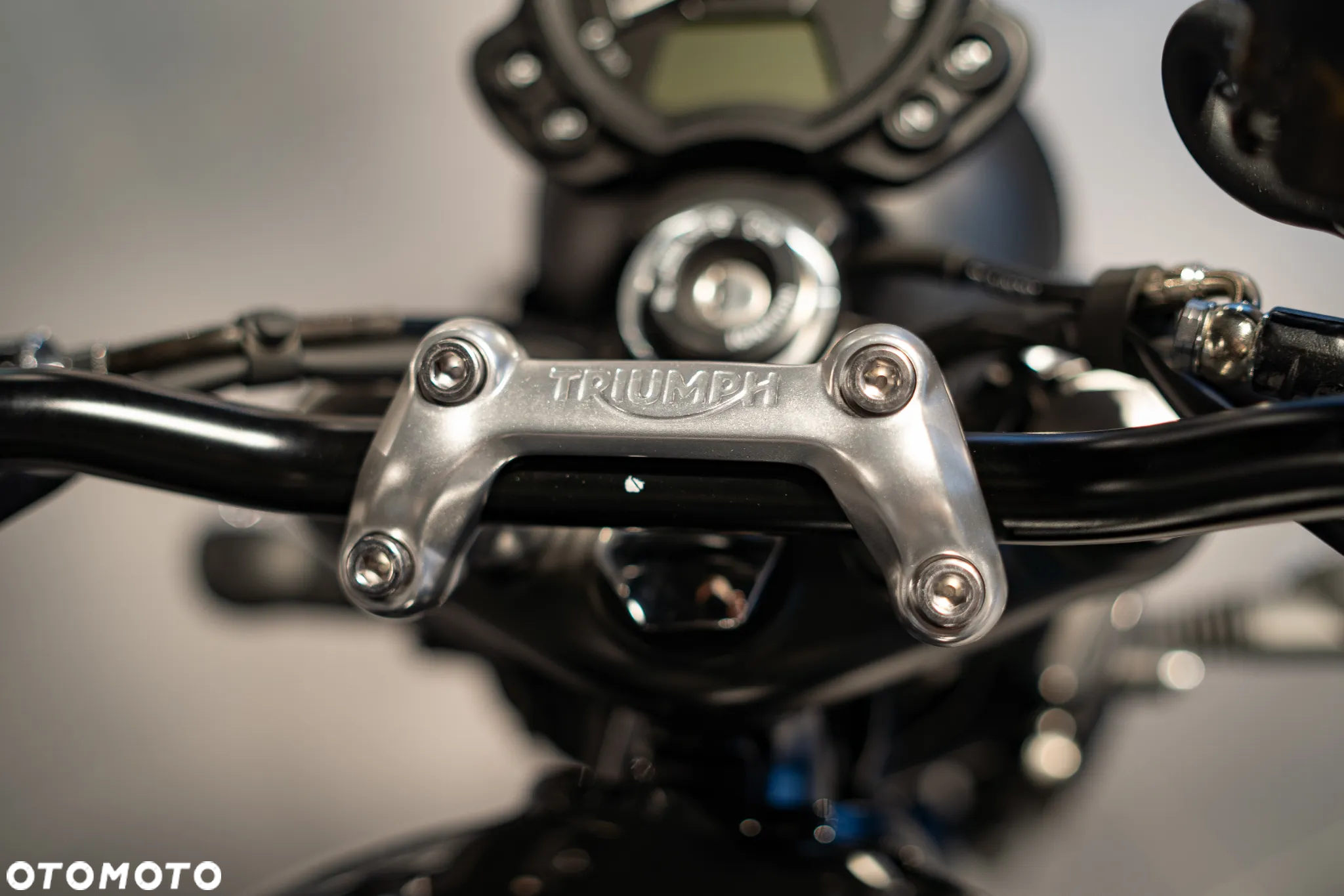 Triumph Speed Twin - 14