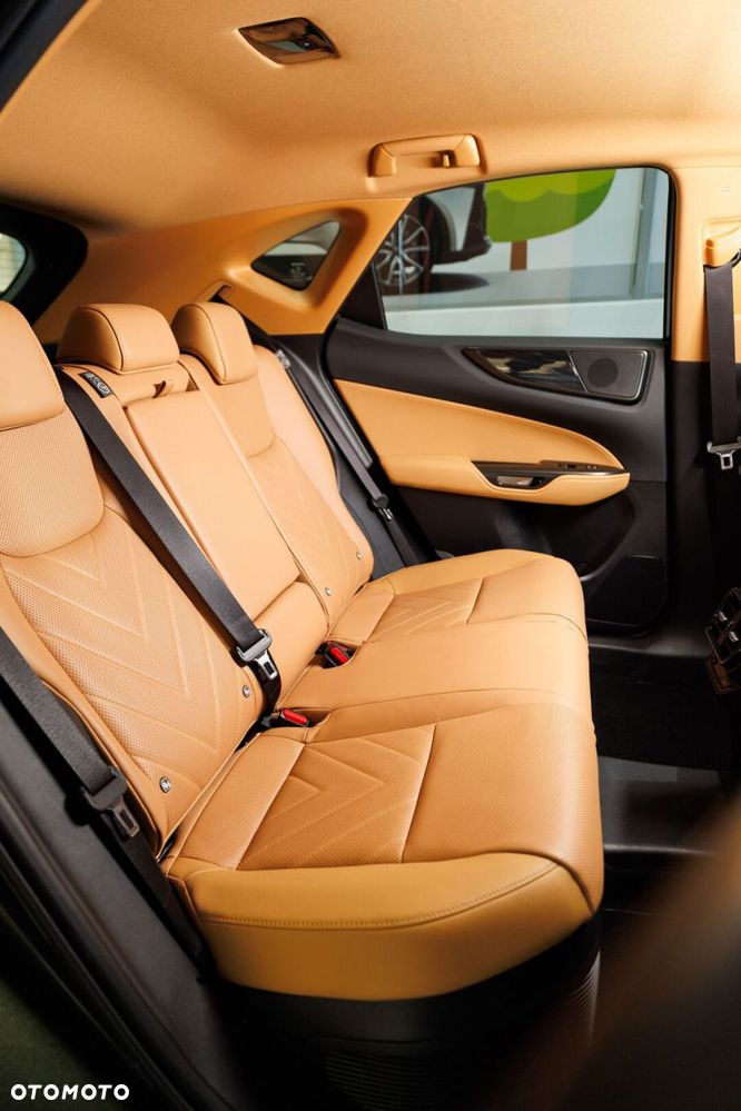 Lexus NX - 22
