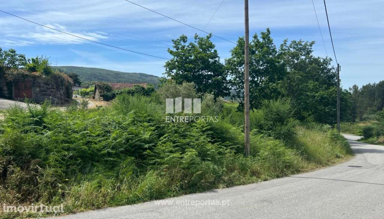 Venda Moradia para Reconstruir, São Simão, Amarante - Grande imagem: 5/39