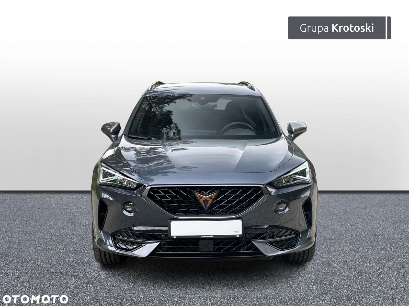 Cupra Formentor 2.0 TSI 4Drive DSG - 9