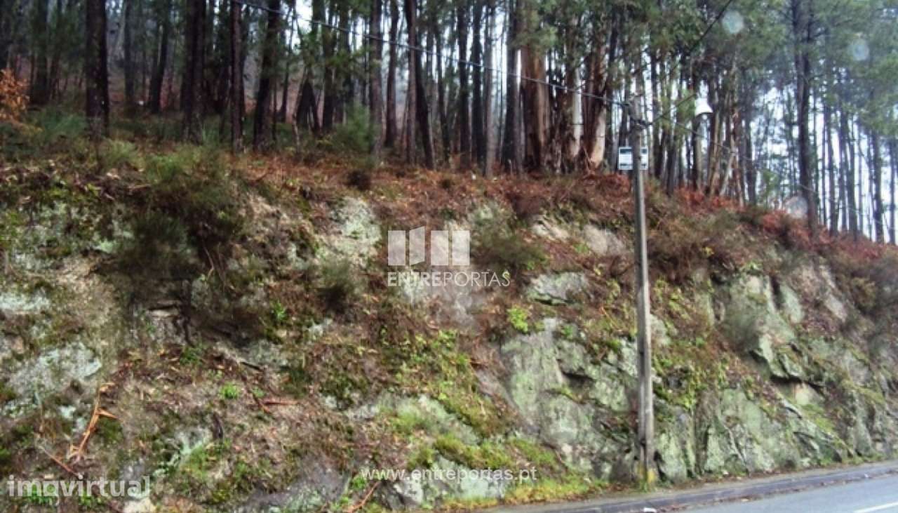 Venda Terreno, Real, Amarante - Grande imagem: 4/6