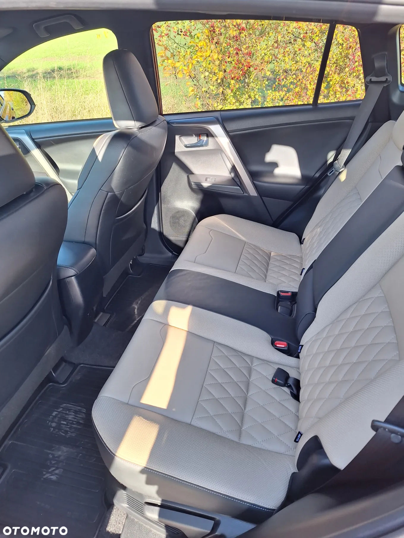 Toyota RAV4 - 6