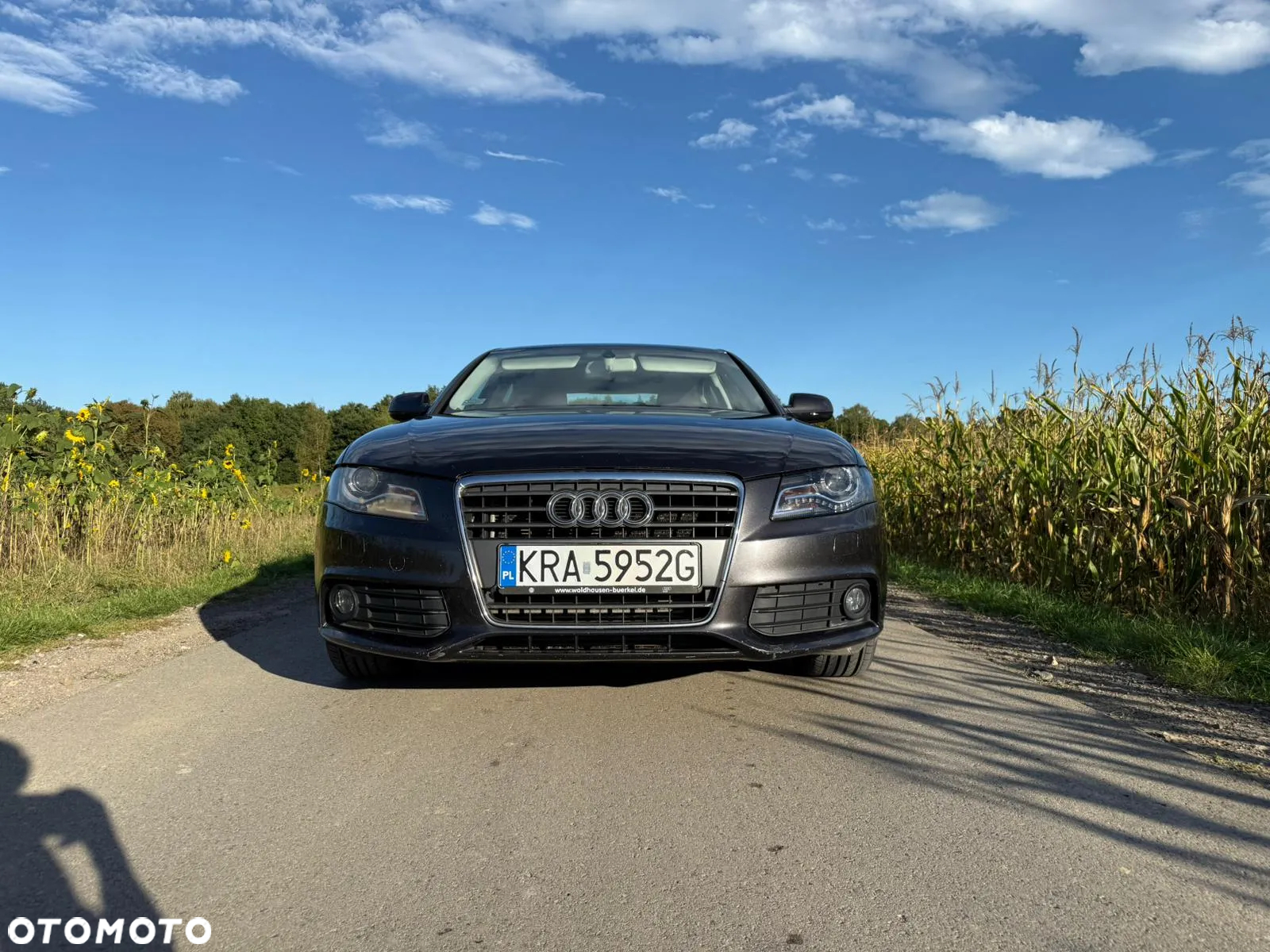 Audi A4 - 11