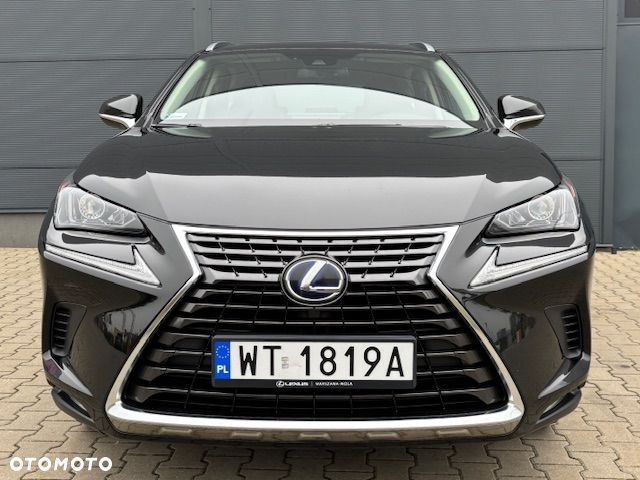 Lexus NX - 2