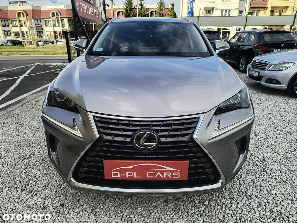 Lexus NX 300 Business Edition AWD - 3
