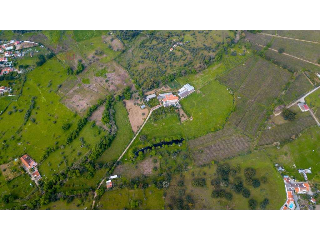 Vende-se quinta em Évora com 10,95 hectares -Excelente Potencial Tu... - Grande imagem: 3/33