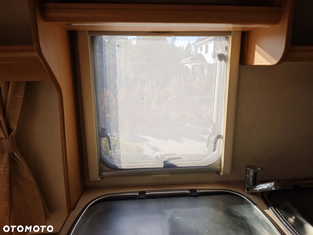 Compass Corona 556 - 32