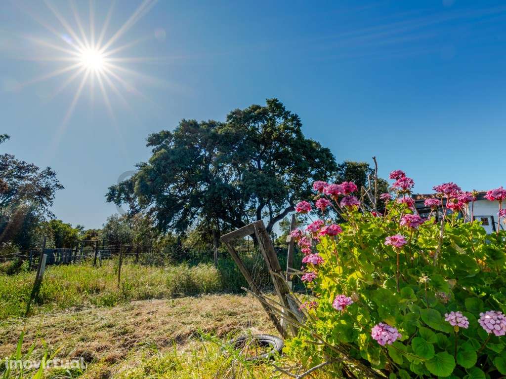 Quinta com seis quartos em Vila Nova de São Bento , Serpa - Grande imagem: 2/43