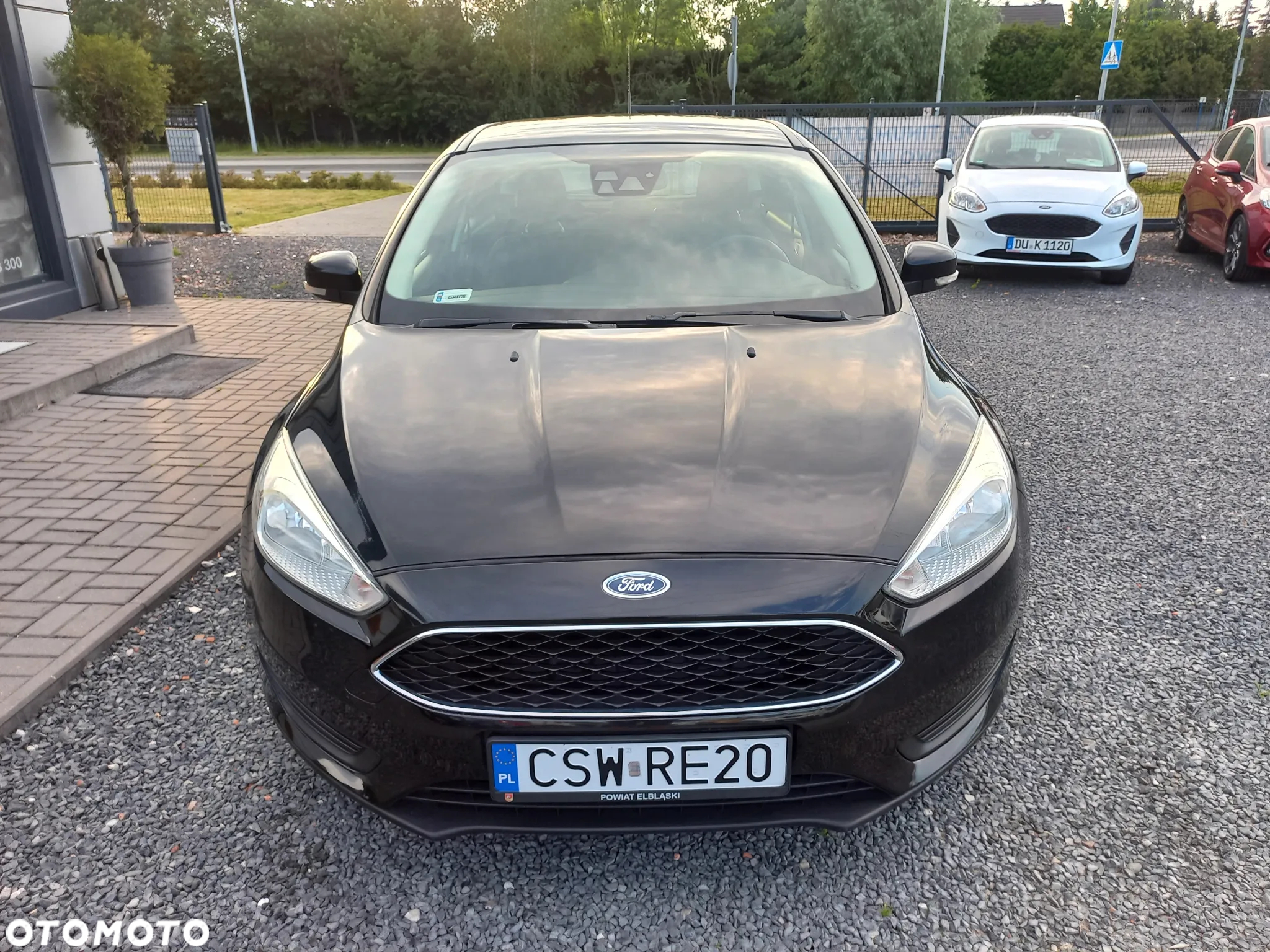 Ford Focus - 10
